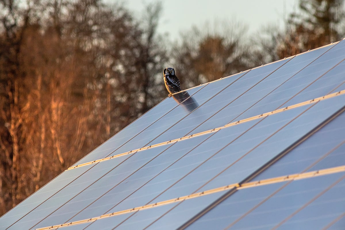 d&eacute;couvrez notre &eacute;valuation approfondie des forums sur le photovolta&iuml;que. comparez les avis et conseils des utilisateurs pour choisir les meilleures ressources et optimiser votre projet solaire.