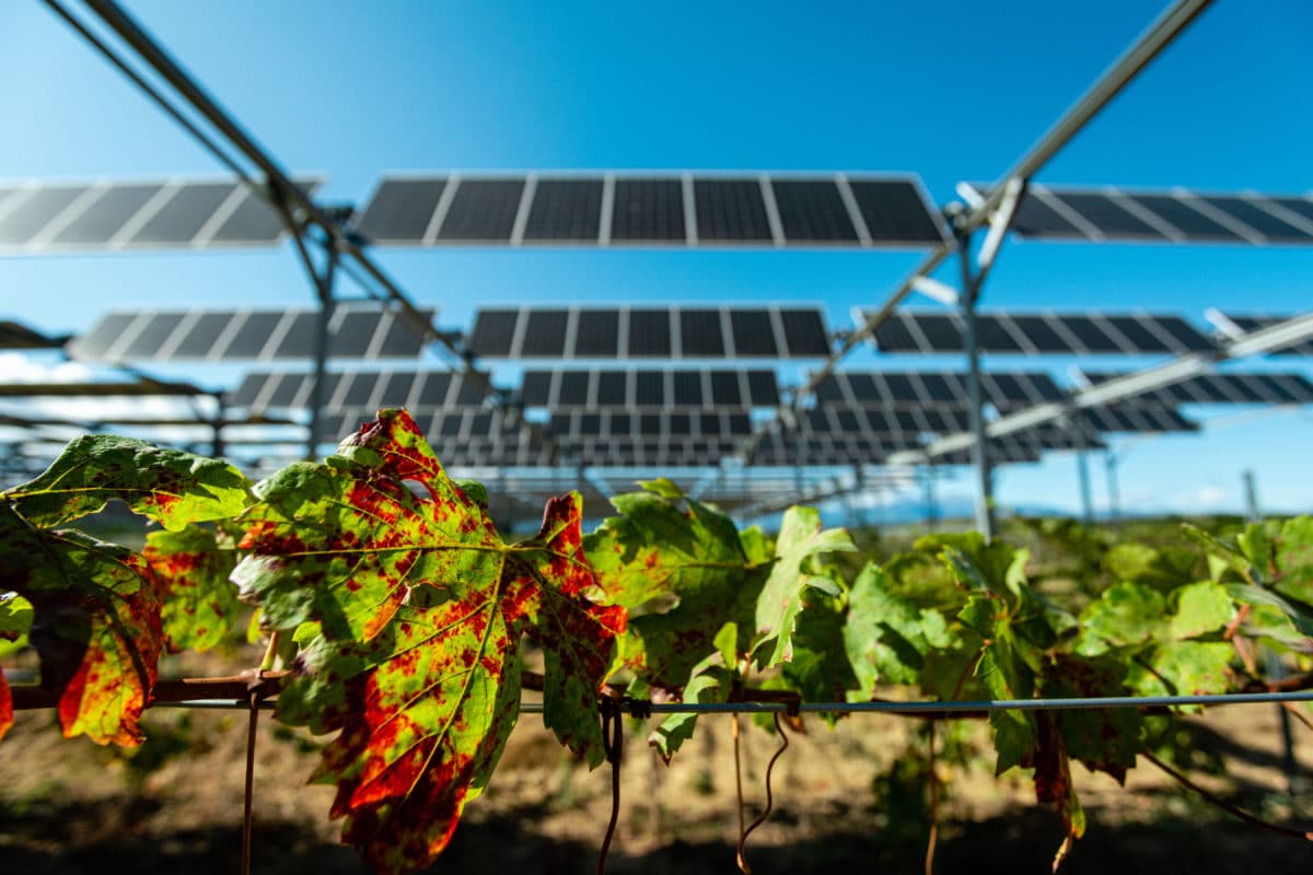 d&eacute;couvrez le forum photovolta&iuml;que, un espace d'&eacute;change d&eacute;di&eacute; aux passionn&eacute;s et professionnels de l'&eacute;nergie solaire. partagez vos exp&eacute;riences, posez vos questions et restez inform&eacute; des derni&egrave;res innovations et tendances dans le domaine du photovolta&iuml;que.