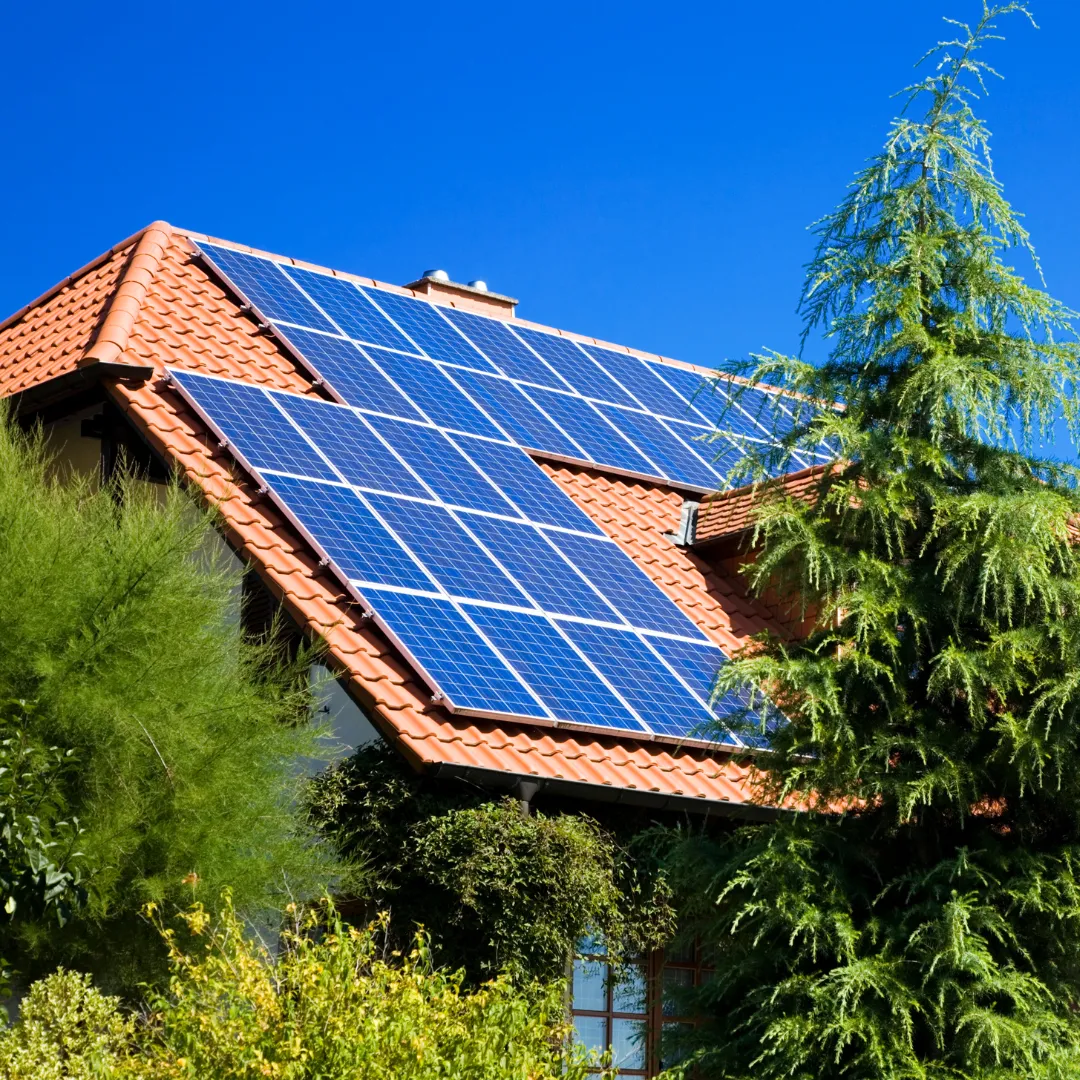 d&eacute;couvrez comment investir dans le photovolta&iuml;que et profiter des avantages d'une &eacute;nergie renouvelable rentable. apprenez les &eacute;tapes cl&eacute;s, les b&eacute;n&eacute;fices fiscaux et les meilleures pratiques pour maximiser votre retour sur investissement.