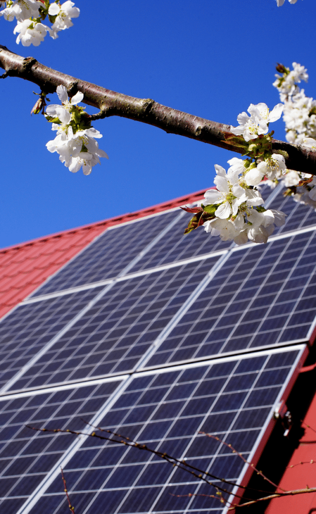 d&eacute;couvrez les meilleures offres de panneaux photovolta&iuml;ques &agrave; tarbes. profitez de solutions &eacute;cologiques et &eacute;conomiques pour r&eacute;duire vos factures d'&eacute;lectricit&eacute; et contribuer &agrave; la transition &eacute;nerg&eacute;tique. contactez-nous pour un devis personnalis&eacute;.